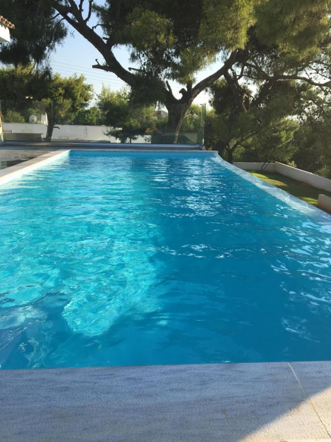 Villa Tranquility Lagonisi Exterior photo